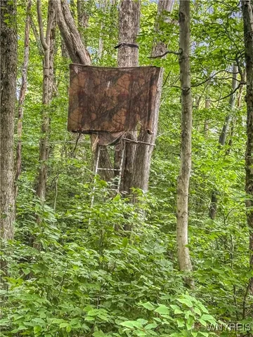 $180,000 | 0 County Road 2A, Almond, NY 14804