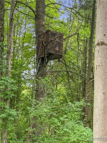 $180,000 | 0 County Road 2A, Almond, NY 14804