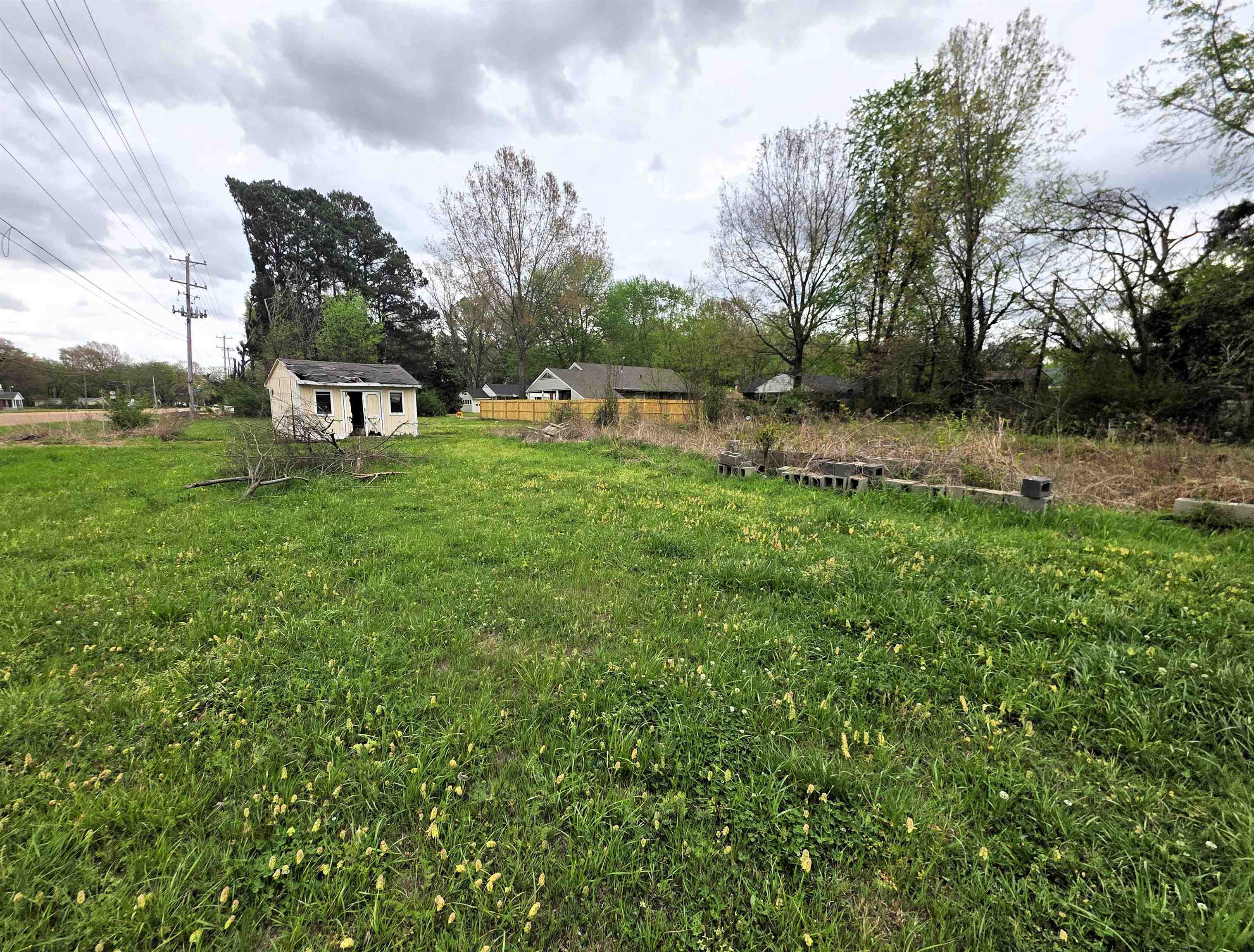 6751 Navy Road Millington, TN 38053 - Photo 4 of 14 a backyard of a house with lots of green space