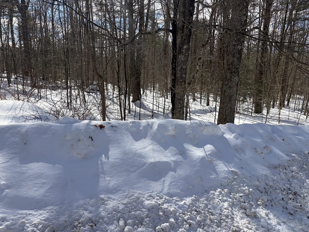 0 Fuller Road Williamsburg, MA 01096 - Photo 3 of 7 a view of road and trees