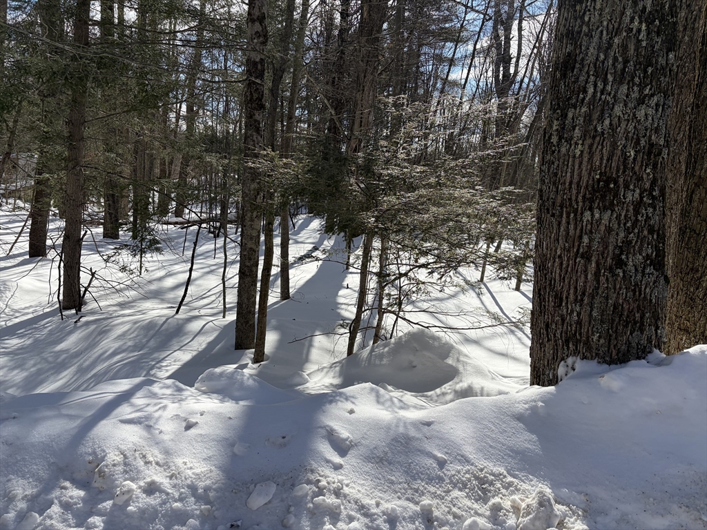 0 Fuller Road Williamsburg, MA 01096 - Photo 4 of 7 a view of yard