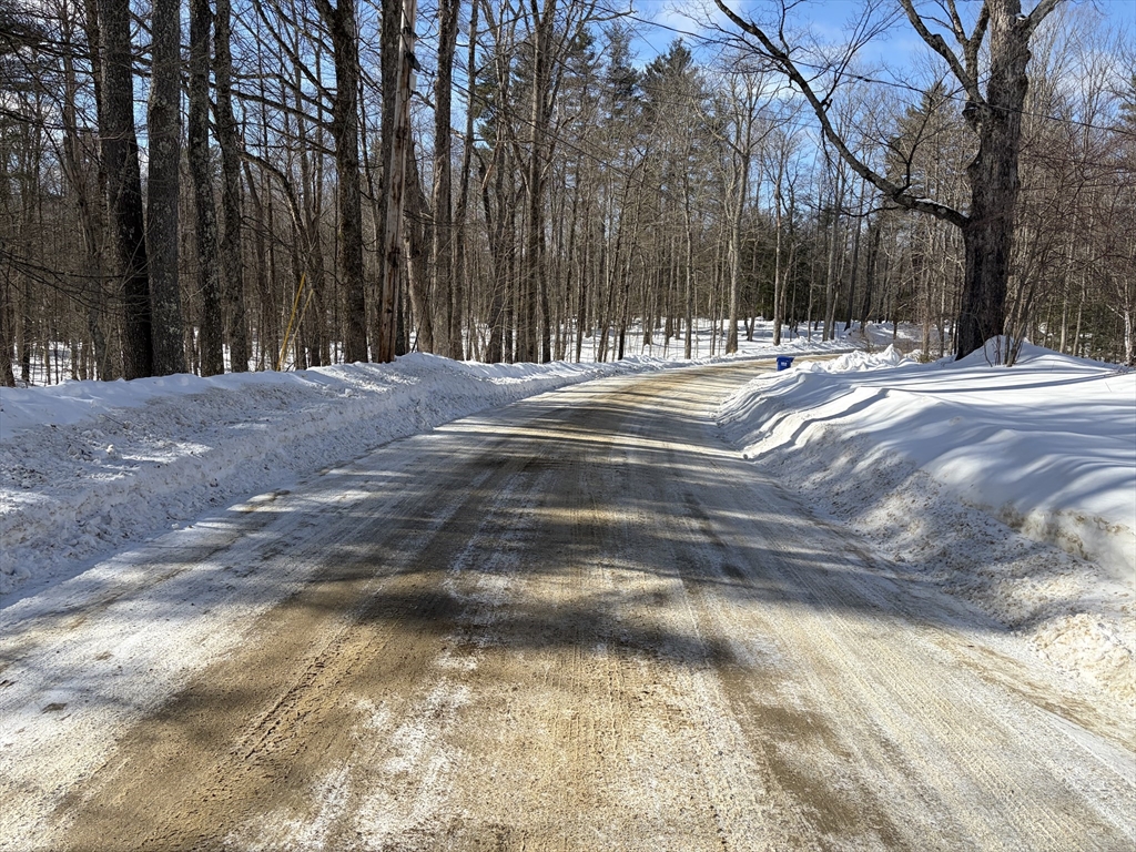 0 Fuller Road Williamsburg, MA 01096 - Photo 6 of 7 a view of road with trees