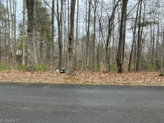 $29,999 | Lot 1 Reserve Trail, Stuart, VA 24171