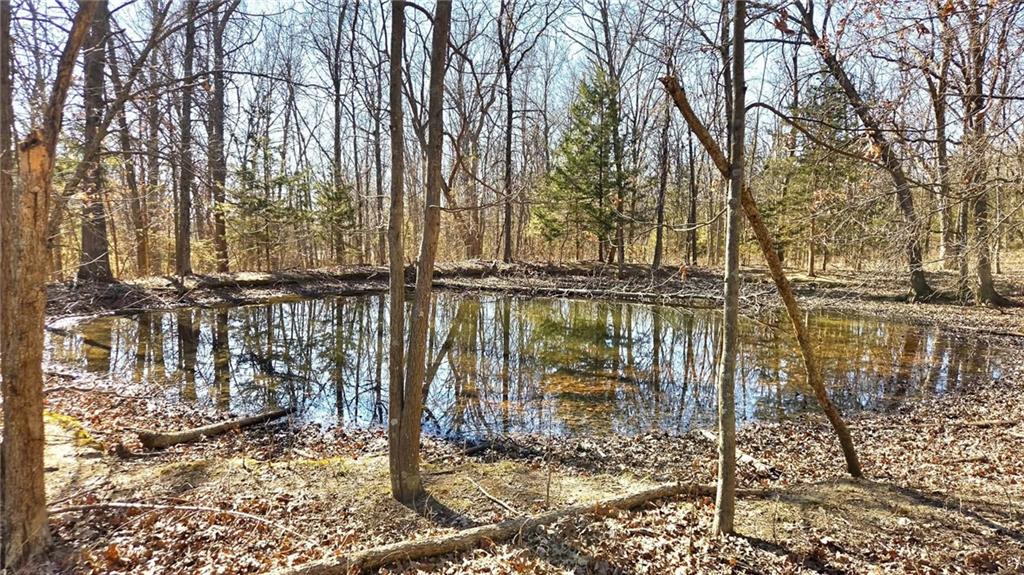 0 Phillips Road Mound City, KS 66056 - Photo 1 of 1 Gallery Image 1