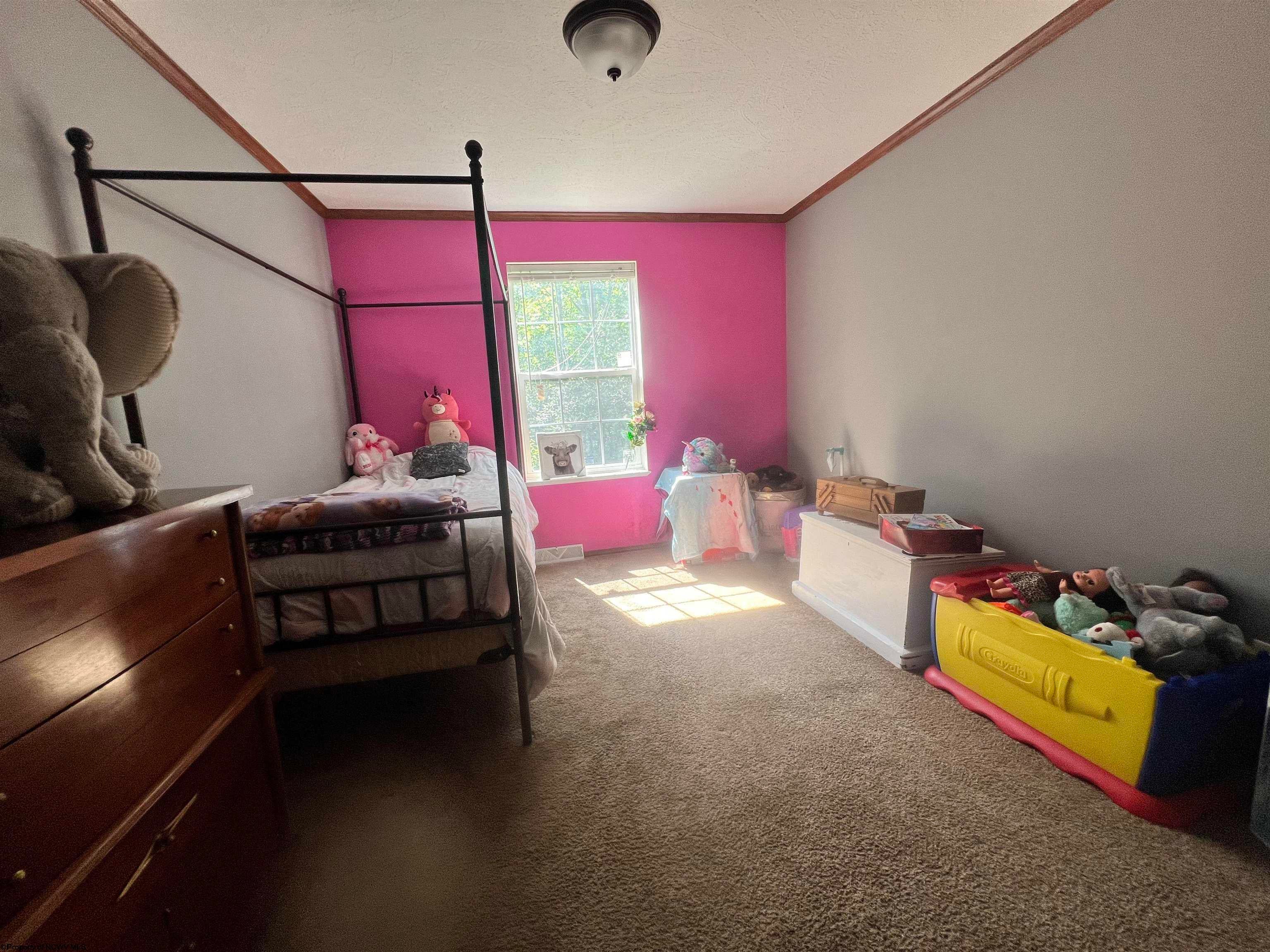 300 Ward Road Volga, WV 26238 - Photo 22 of 46 Gallery Image 22