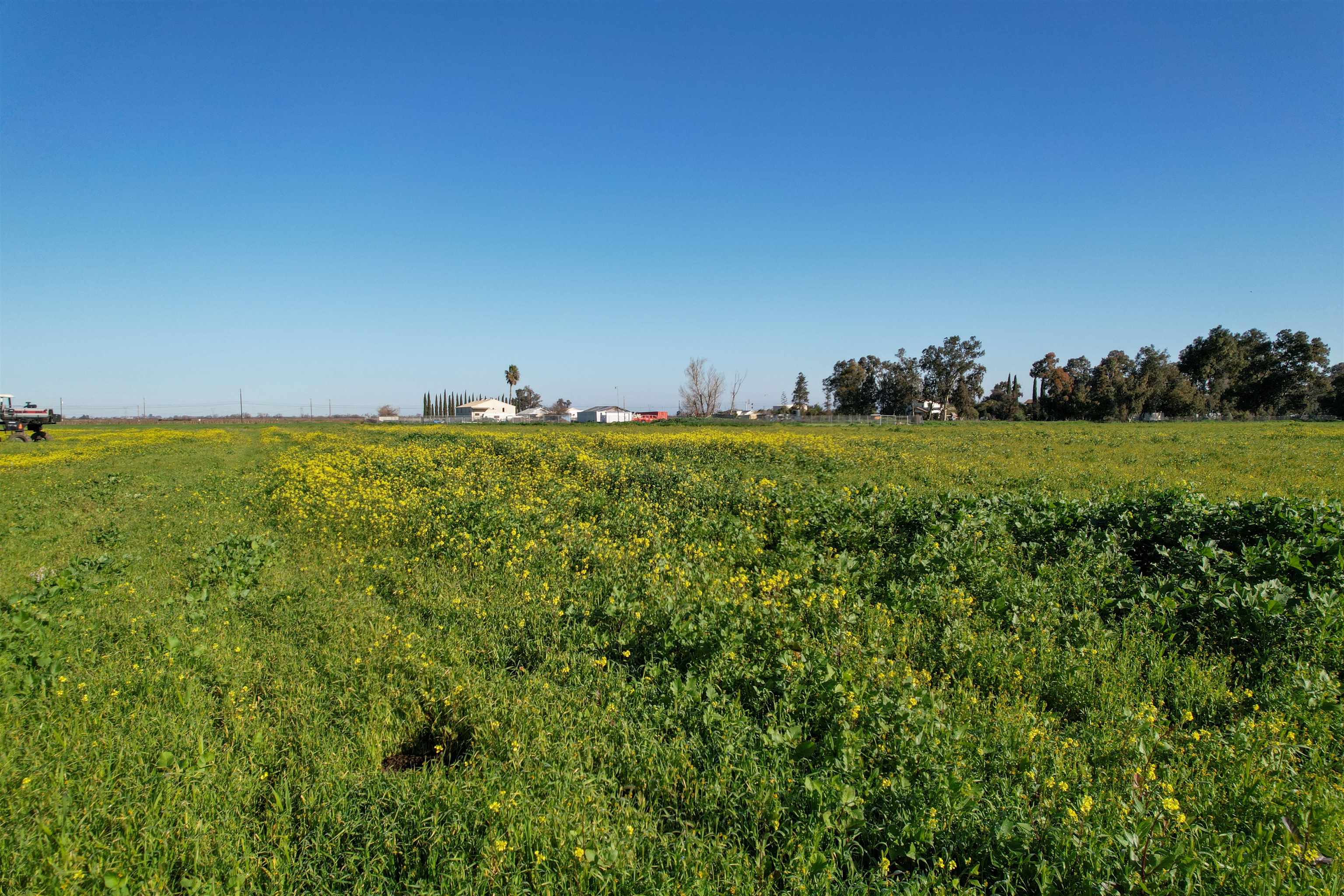 0 Learning Tree Lane Brentwood, CA 94513 - Photo 15 of 18 View of undeveloped land with rural landscape