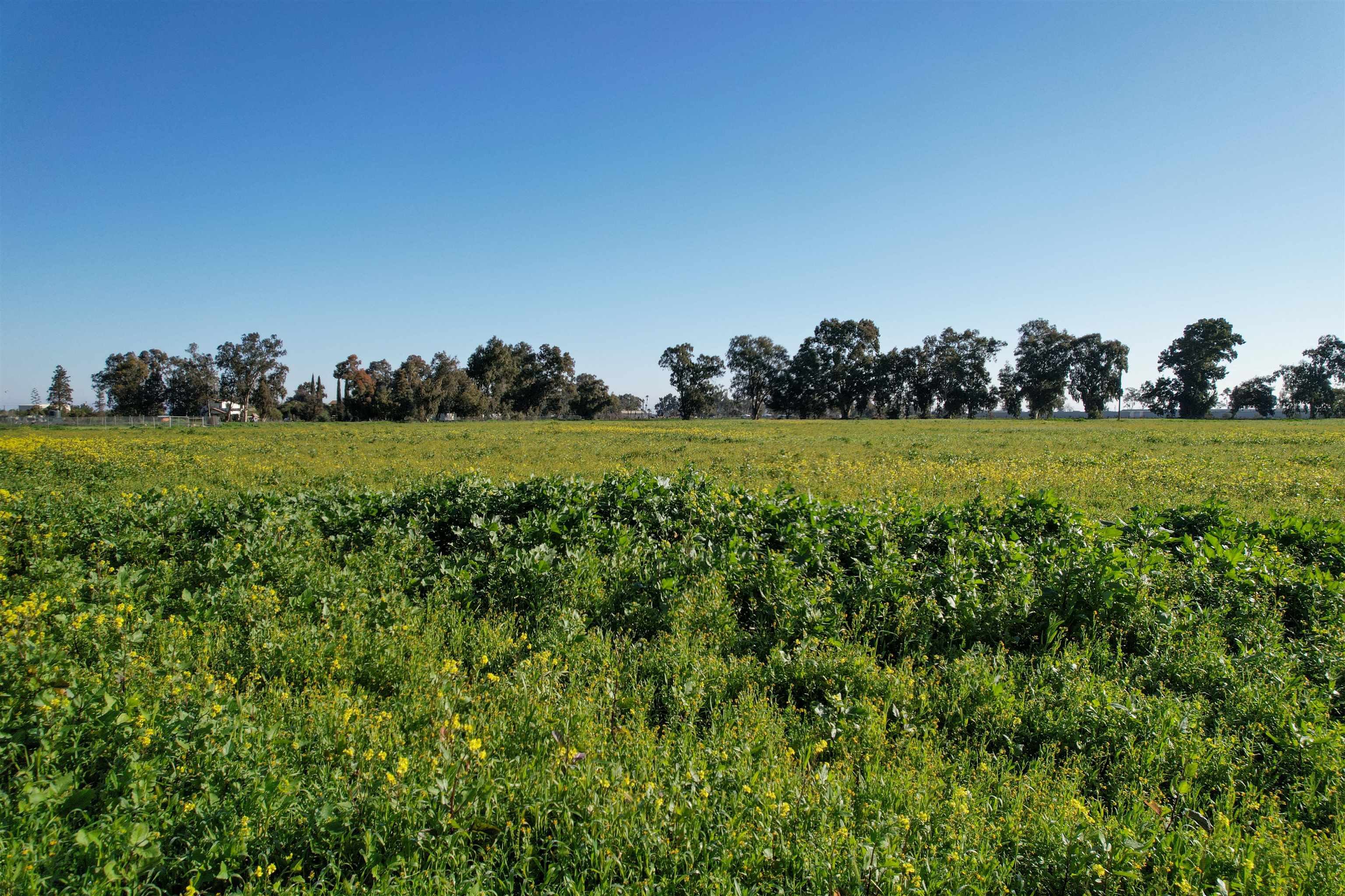 0 Learning Tree Lane Brentwood, CA 94513 - Photo 16 of 18 View of local wilderness with rural landscape