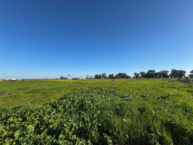 a view of a green field with lots of bushes