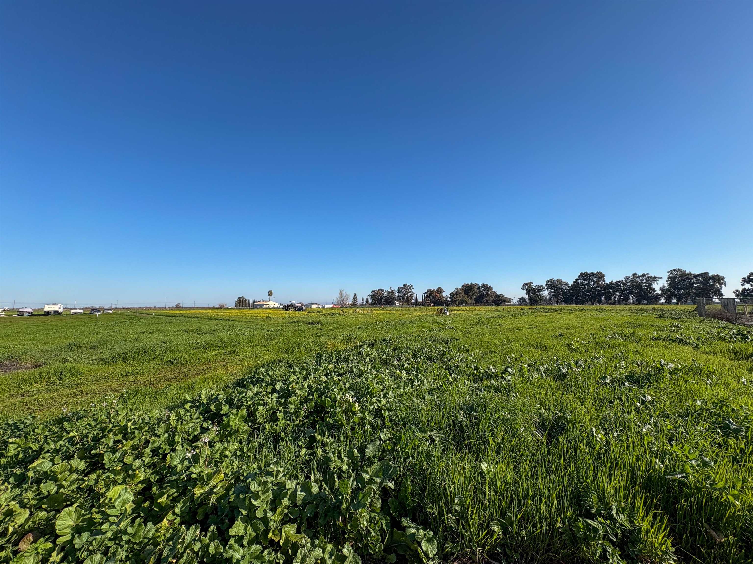 0 Learning Tree Lane Brentwood, CA 94513 - Photo 5 of 18 View of local wilderness with rural landscape