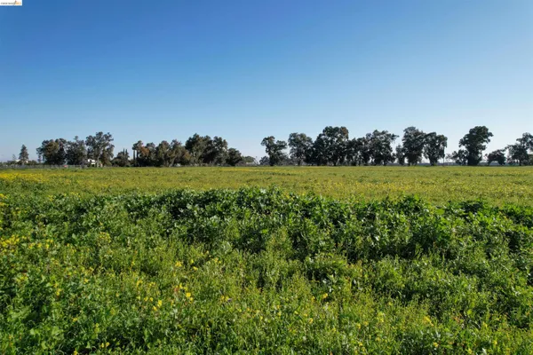 a view of a field and a yard