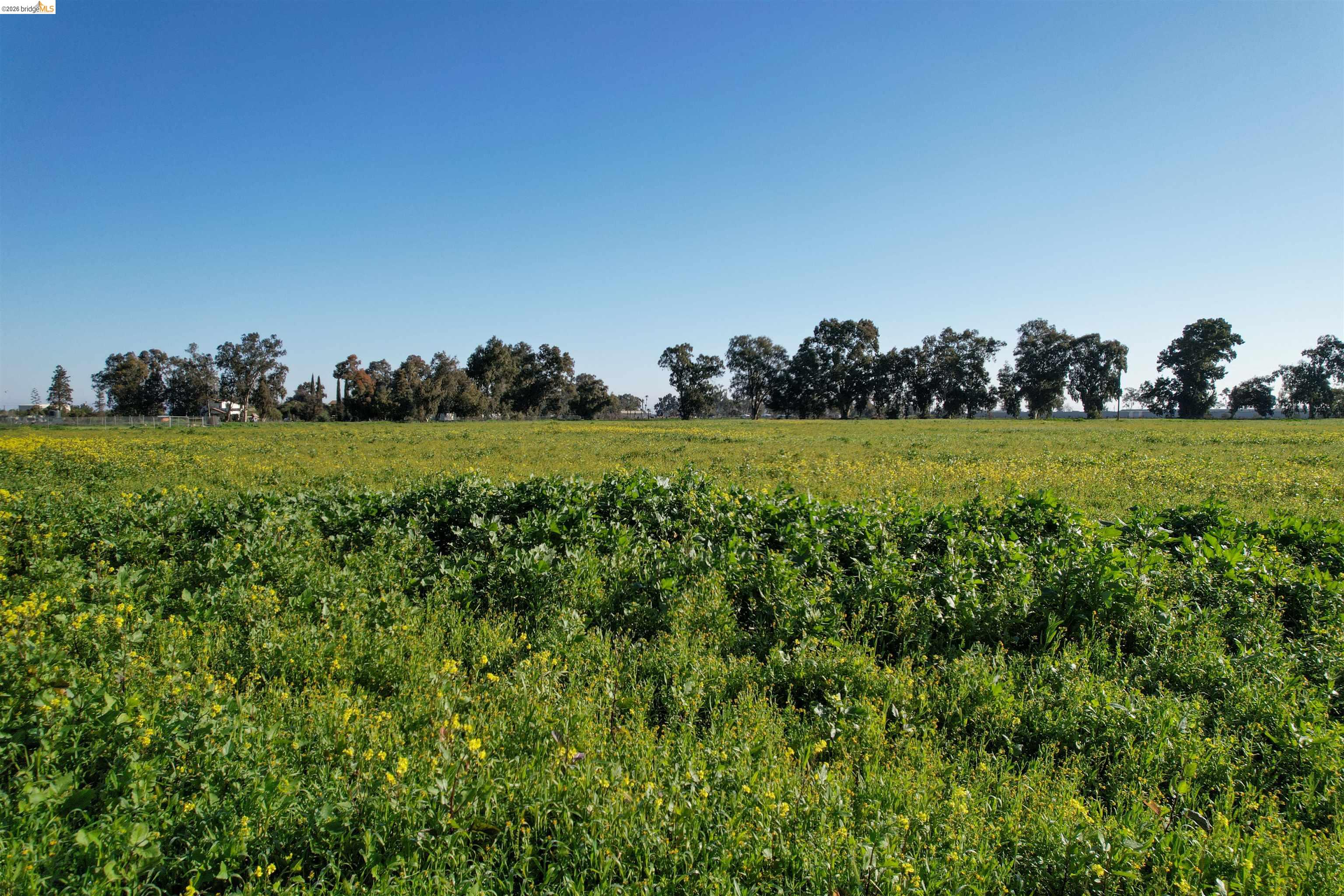 0 Learning Tree Lane Brentwood, CA 94513 - Photo 9 of 18 a view of a field and a yard