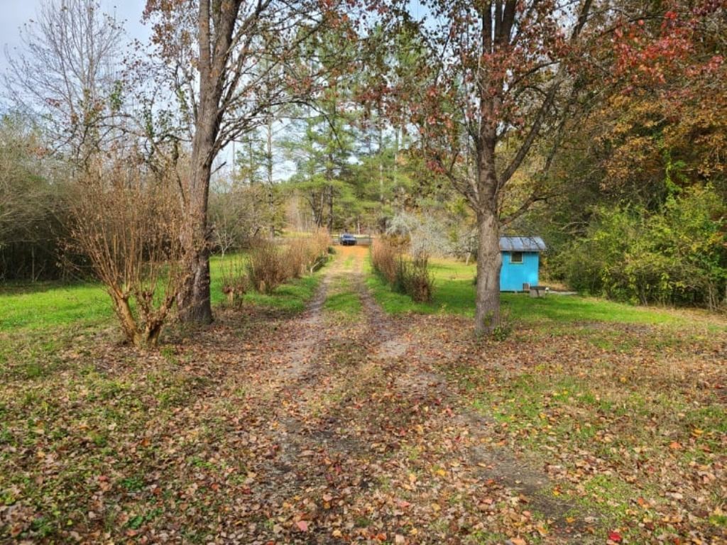 575 Flat Shoals Road Walhalla, SC 29691 - Photo 12 of 17 Gallery Image 12