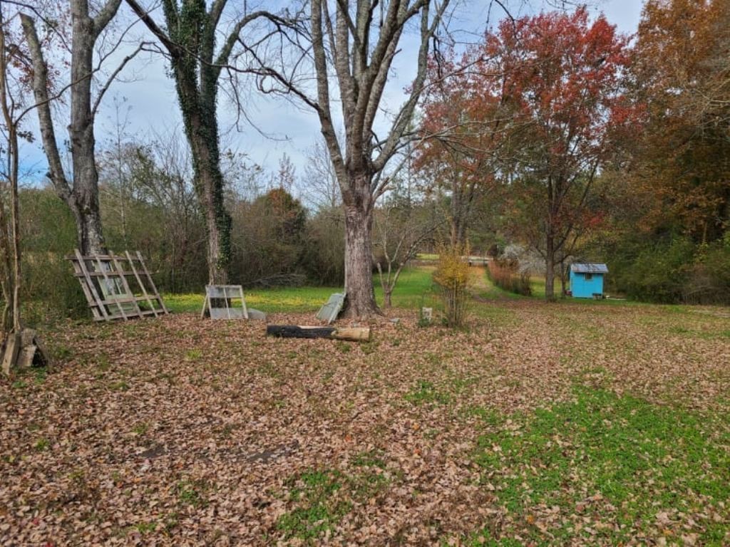 575 Flat Shoals Road Walhalla, SC 29691 - Photo 3 of 17 Gallery Image 3