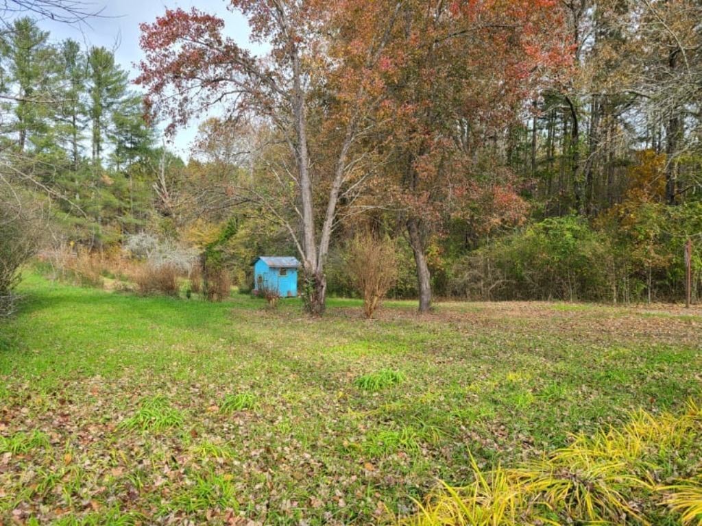 575 Flat Shoals Road Walhalla, SC 29691 - Photo 5 of 17 Gallery Image 5