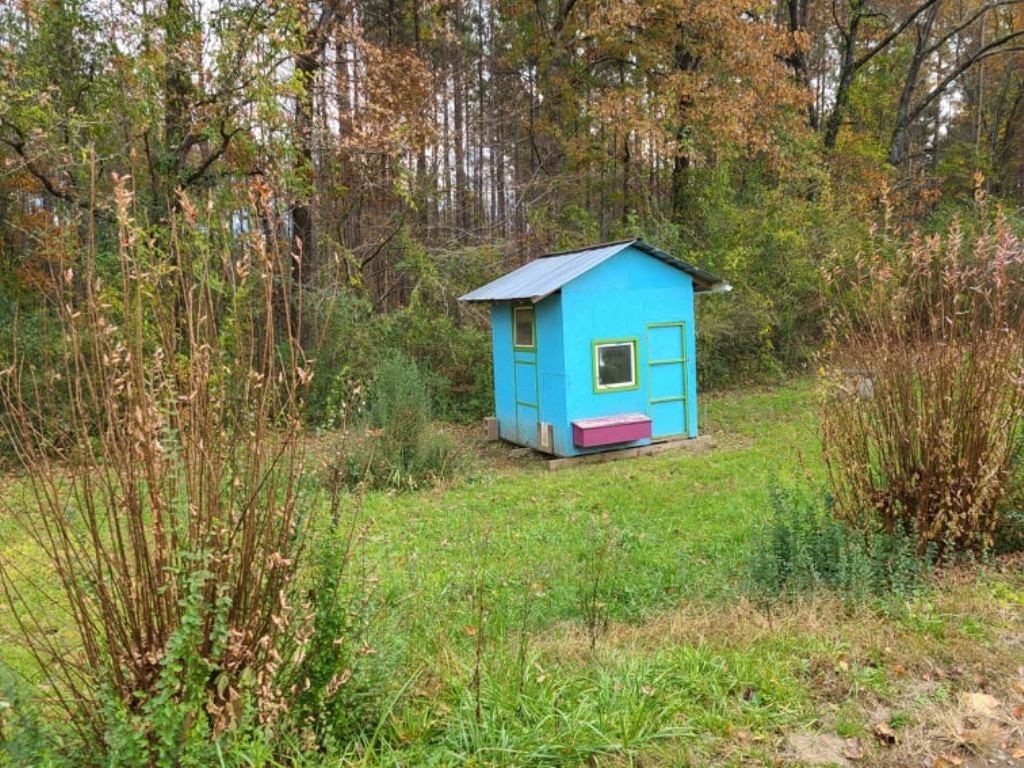 575 Flat Shoals Road Walhalla, SC 29691 - Photo 7 of 17 Gallery Image 7