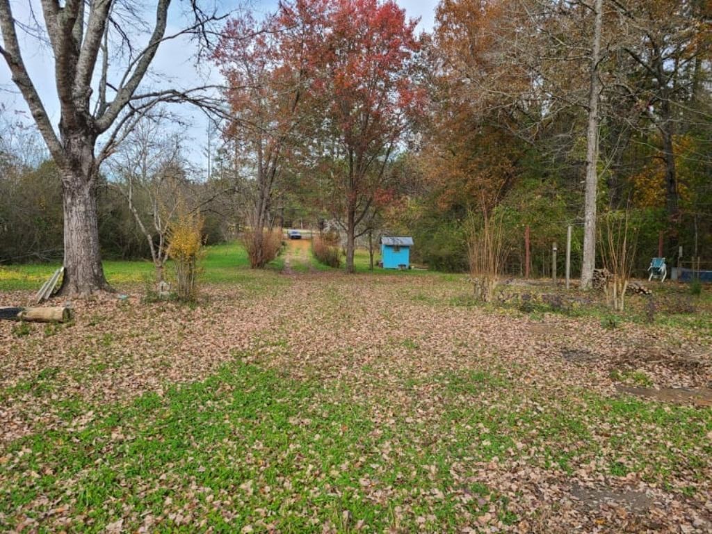 575 Flat Shoals Road Walhalla, SC 29691 - Photo 9 of 17 Gallery Image 9