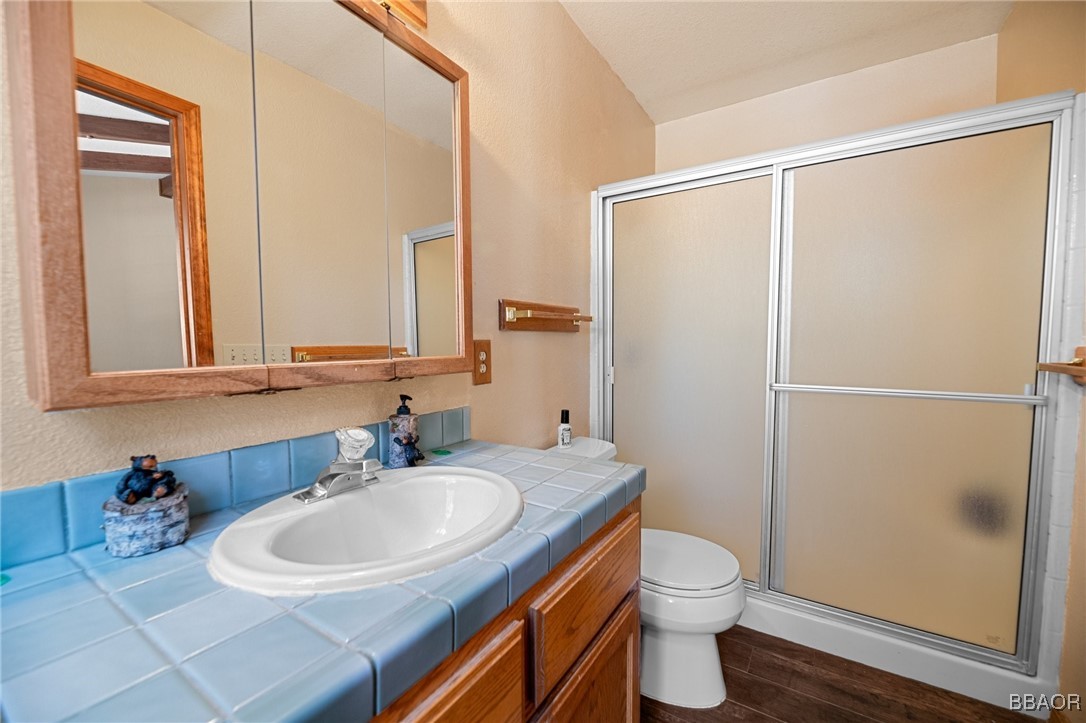 252 Riverside Avenue Sugarloaf, CA 92386 - Photo 22 of 29 a bathroom with a sink toilet and shower