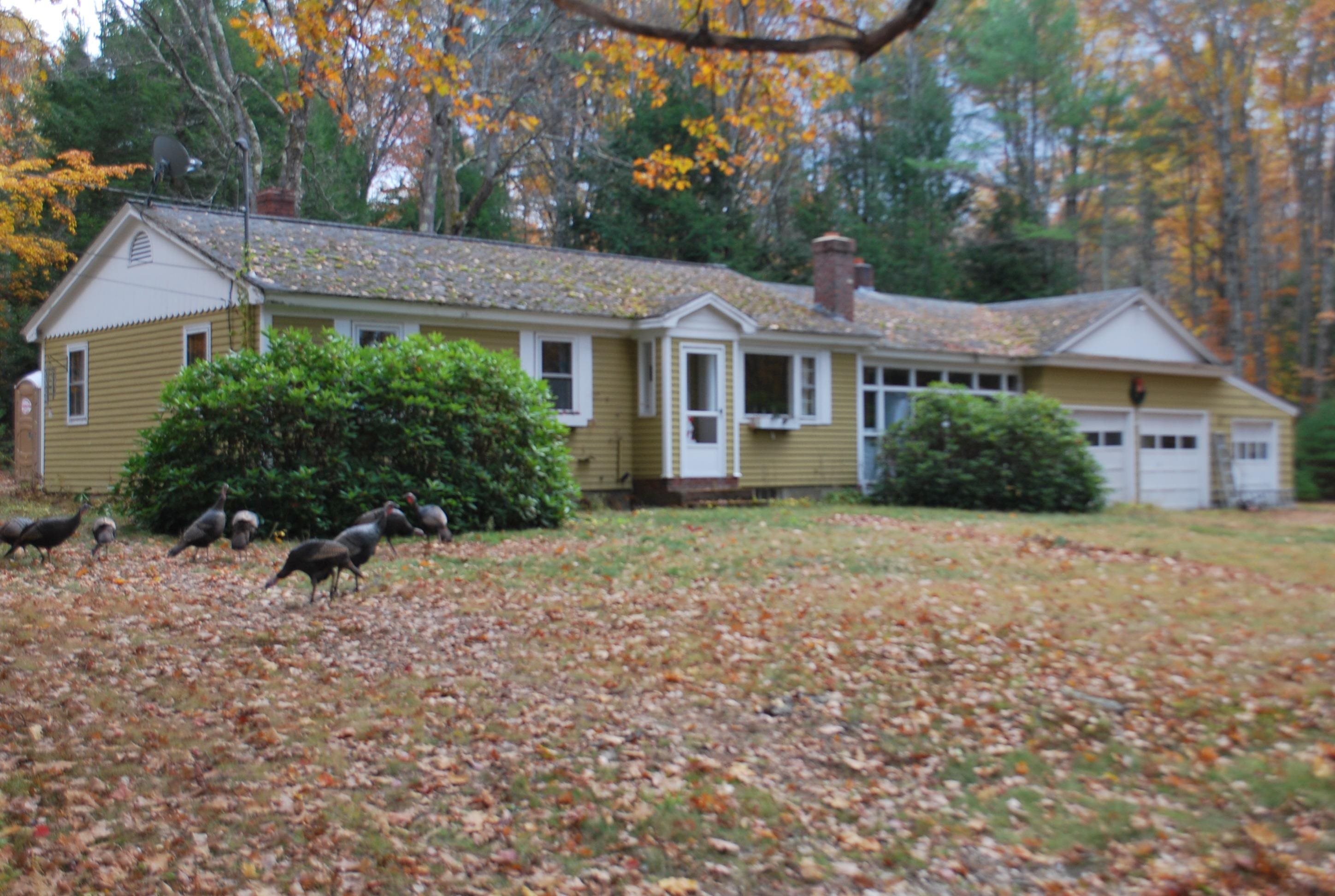 23 Ledge Hill Road Tuftonboro, NH 03816 - Photo 2 of 18
