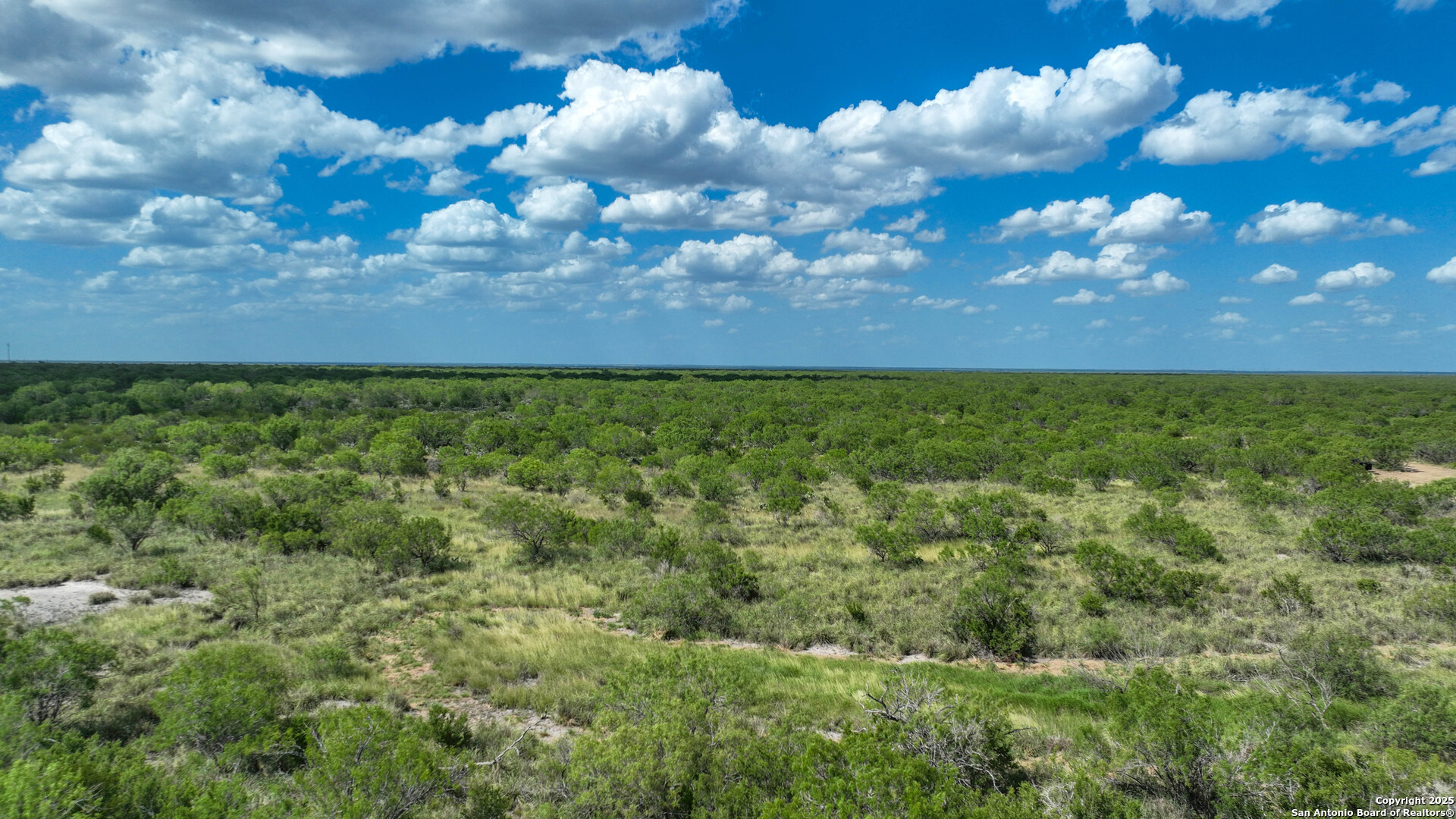 0 Cameron Lane Fowlerton, TX 78021 - Photo 13 of 16 a view of a yard