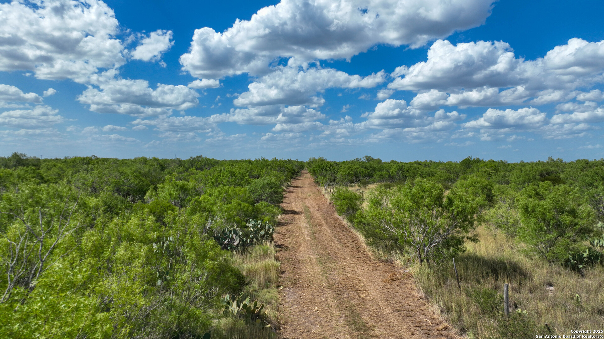 0 Cameron Lane Fowlerton, TX 78021 - Photo 14 of 16 a view of a pathway both side of green field with lot of trees