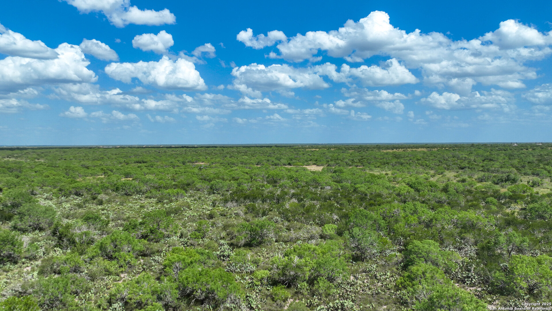 0 Cameron Lane Fowlerton, TX 78021 - Photo 15 of 16 a view of a big yard with lots of green space