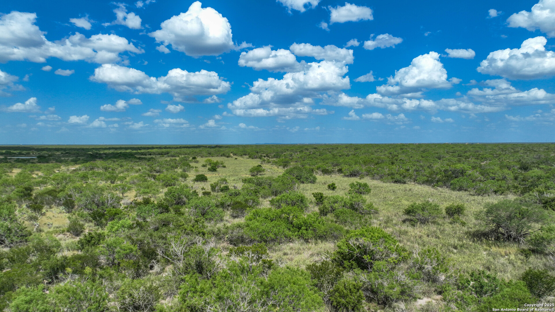 0 Cameron Lane Fowlerton, TX 78021 - Photo 16 of 16 a view of a bunch of trees in background
