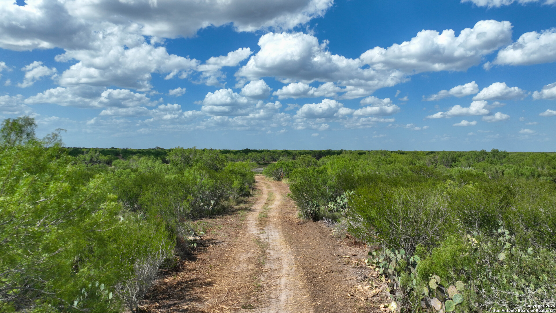 0 Cameron Lane Fowlerton, TX 78021 - Photo 8 of 16 a view of a pathway both side of grassy field with shrub