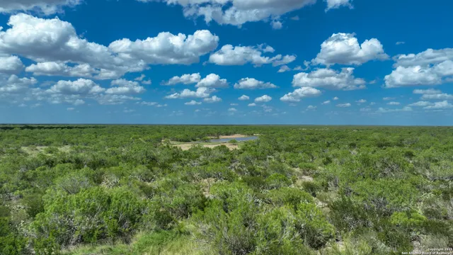 a view of a pathway with a yard