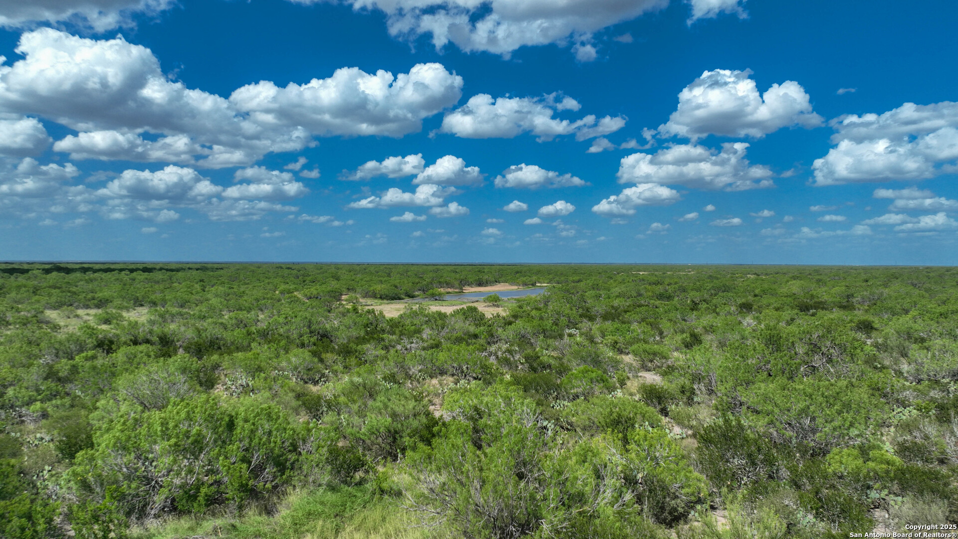 0 Cameron Lane Fowlerton, TX 78021 - Photo 9 of 16 a view of a bunch of flowers