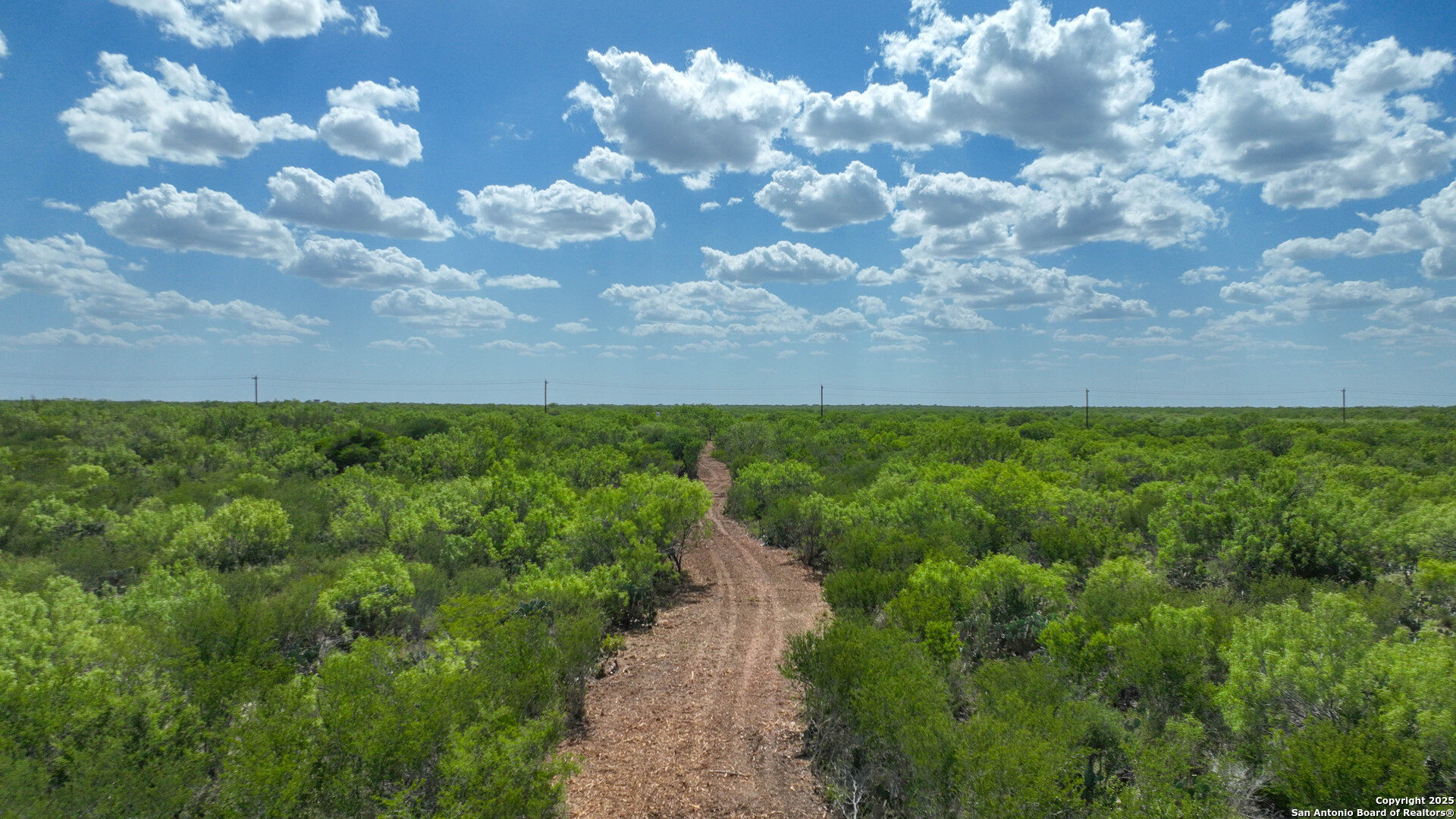 0 Cameron Lane Fowlerton, TX 78021 - Photo 10 of 16 a view of a pathway with a yard