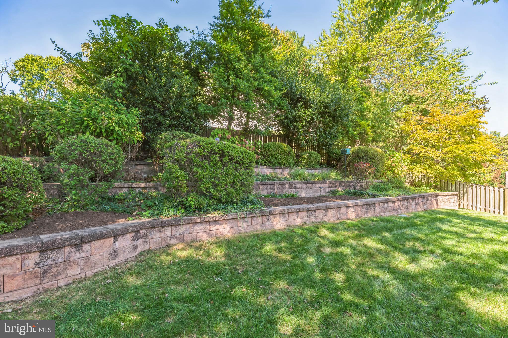 6206 Winnepeg Drive Burke, VA 22015 - Photo 29 of 29 Rear Yard