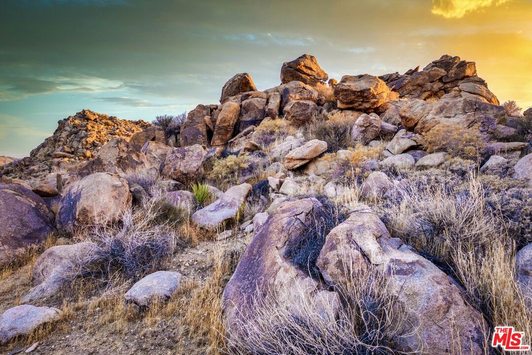 63131 Rocking Chair Road Joshua Tree, CA 92252 - Photo 62 of 66