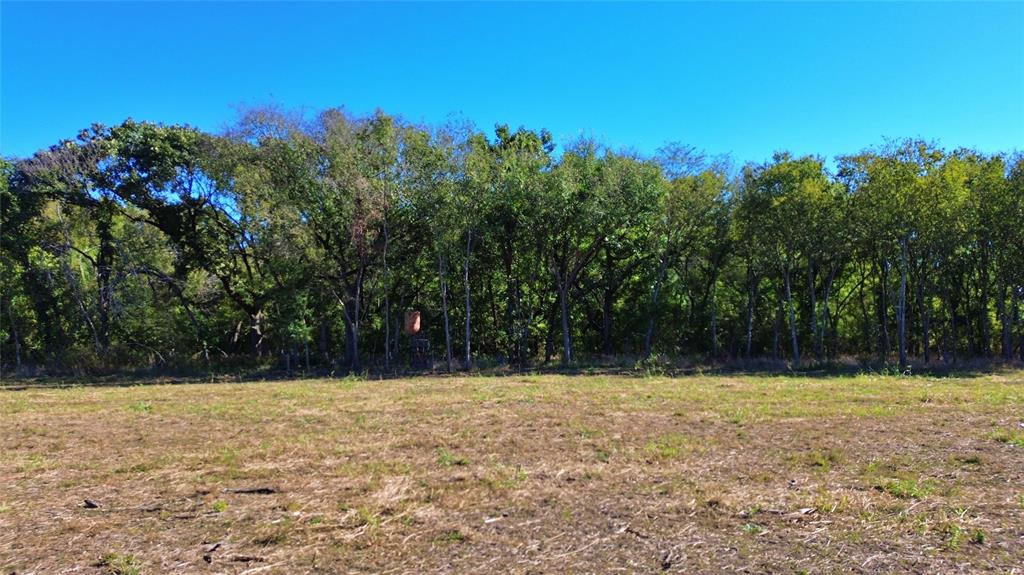 0 Bee Creek Road Maypearl, TX 76064 - Photo 22 of 39 a view of basketball court