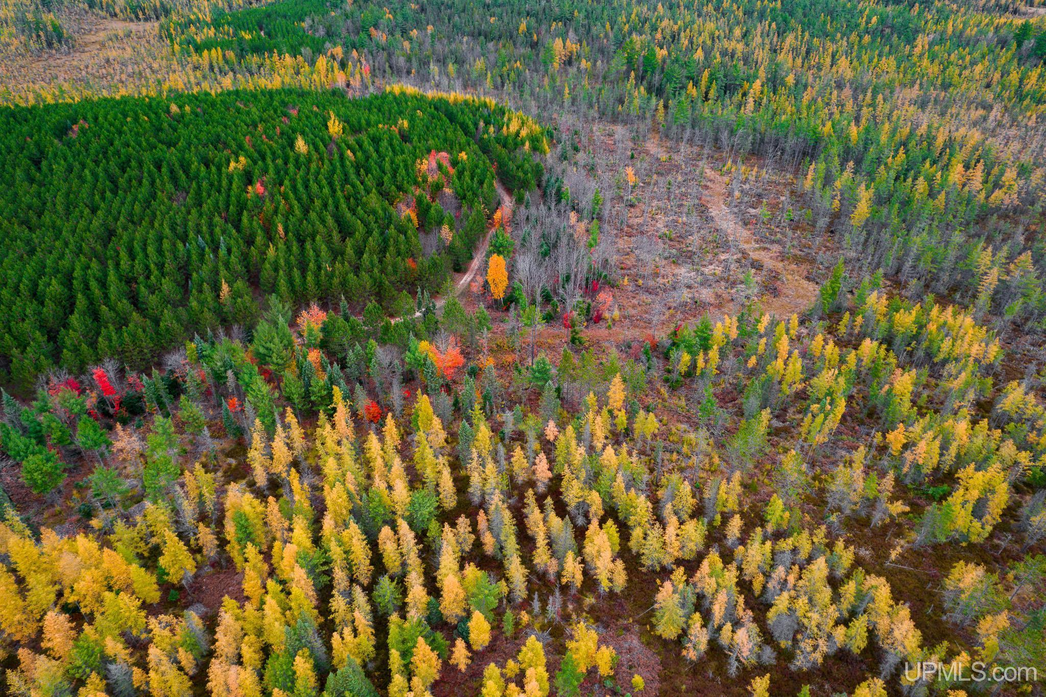 160 Acres Stella Lake Road Wetmore, MI 49895 - Photo 11 of 28
