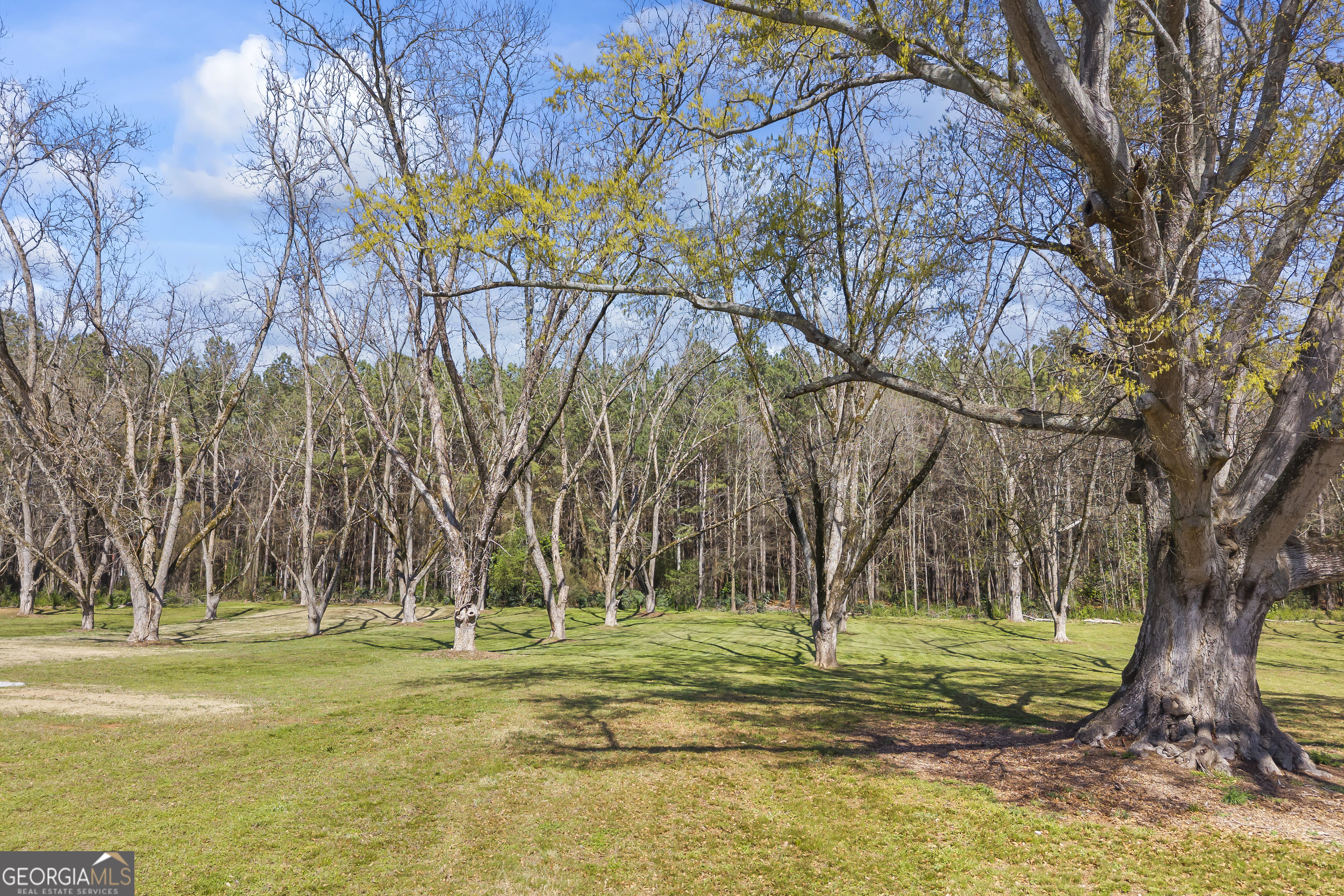 215 Hartwell Road Lavonia, GA 30553 - Photo 14 of 80