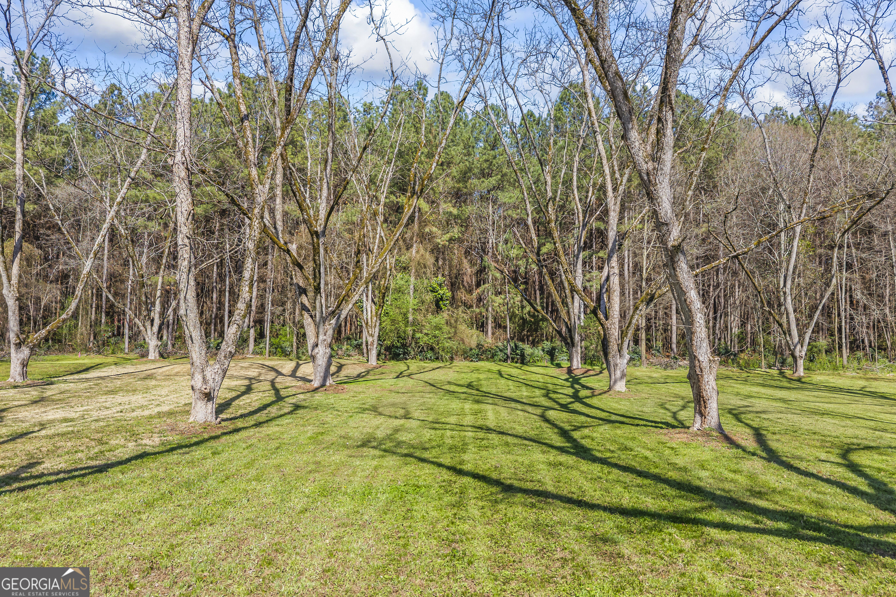 215 Hartwell Road Lavonia, GA 30553 - Photo 15 of 80