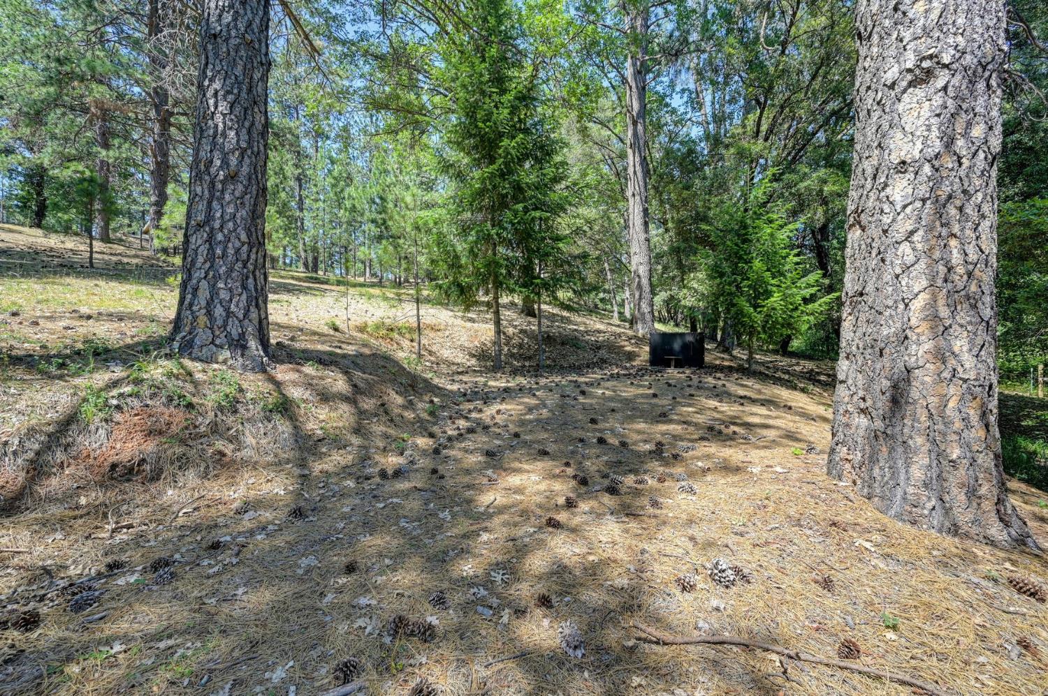1205 Tokayana Ranch Lane Colfax, CA 95713 - Photo 46 of 60