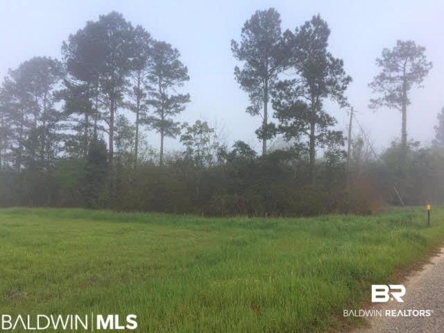 0 Eric Odom Road Brewton, AL 36426 - Photo 1 of 2