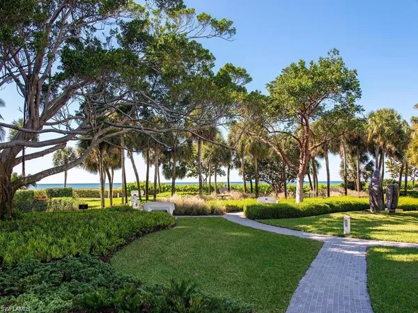 a view of a park with lots of palm trees