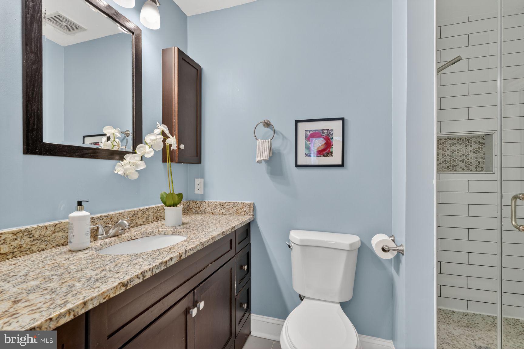 803 9th Street Northeast Washington, DC 20002 - Photo 19 of 29 Primary ensuite bath