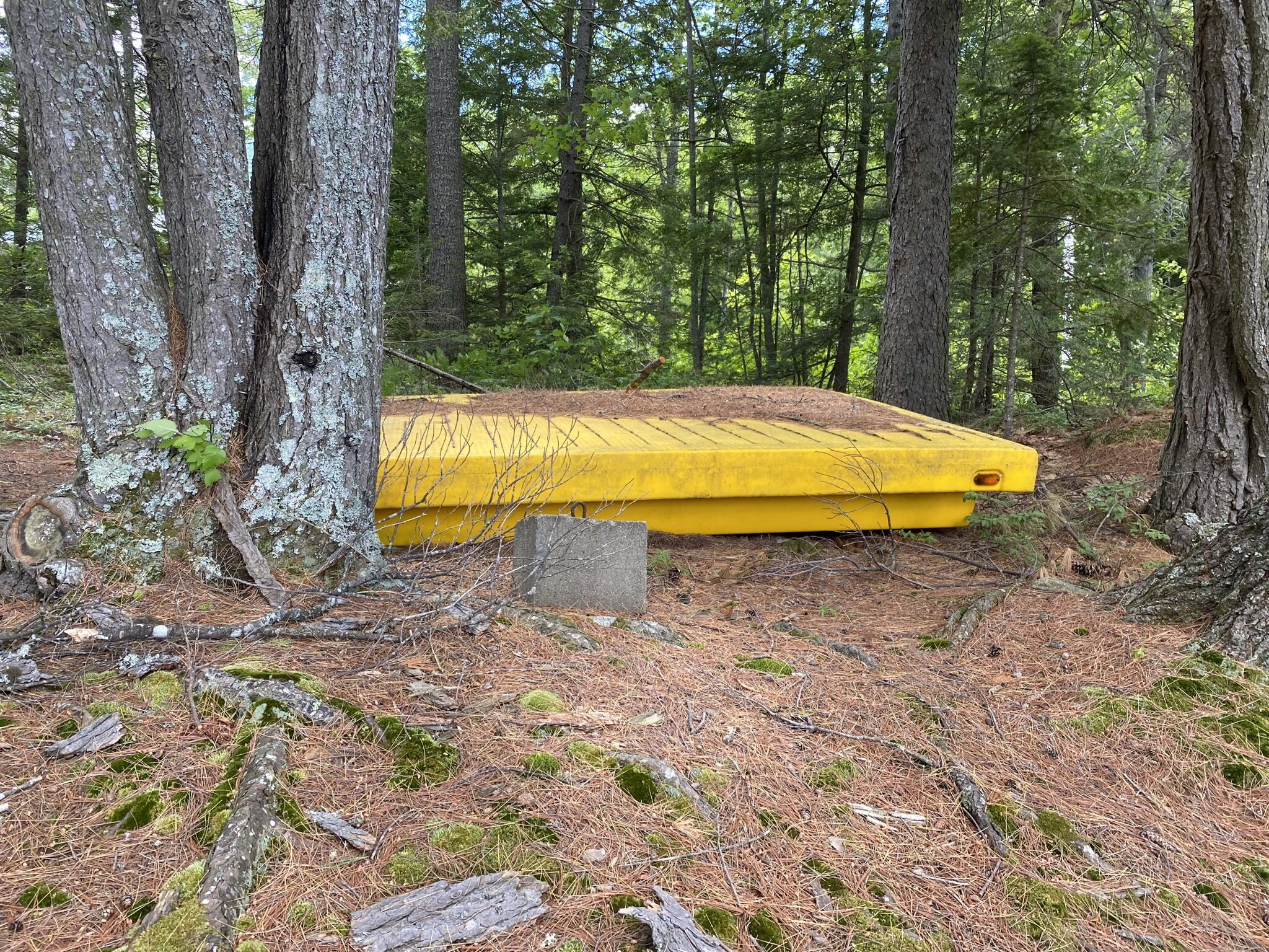 346 Bradeen Road Sumner, ME 04292 - Photo 22 of 51 IMG_2914