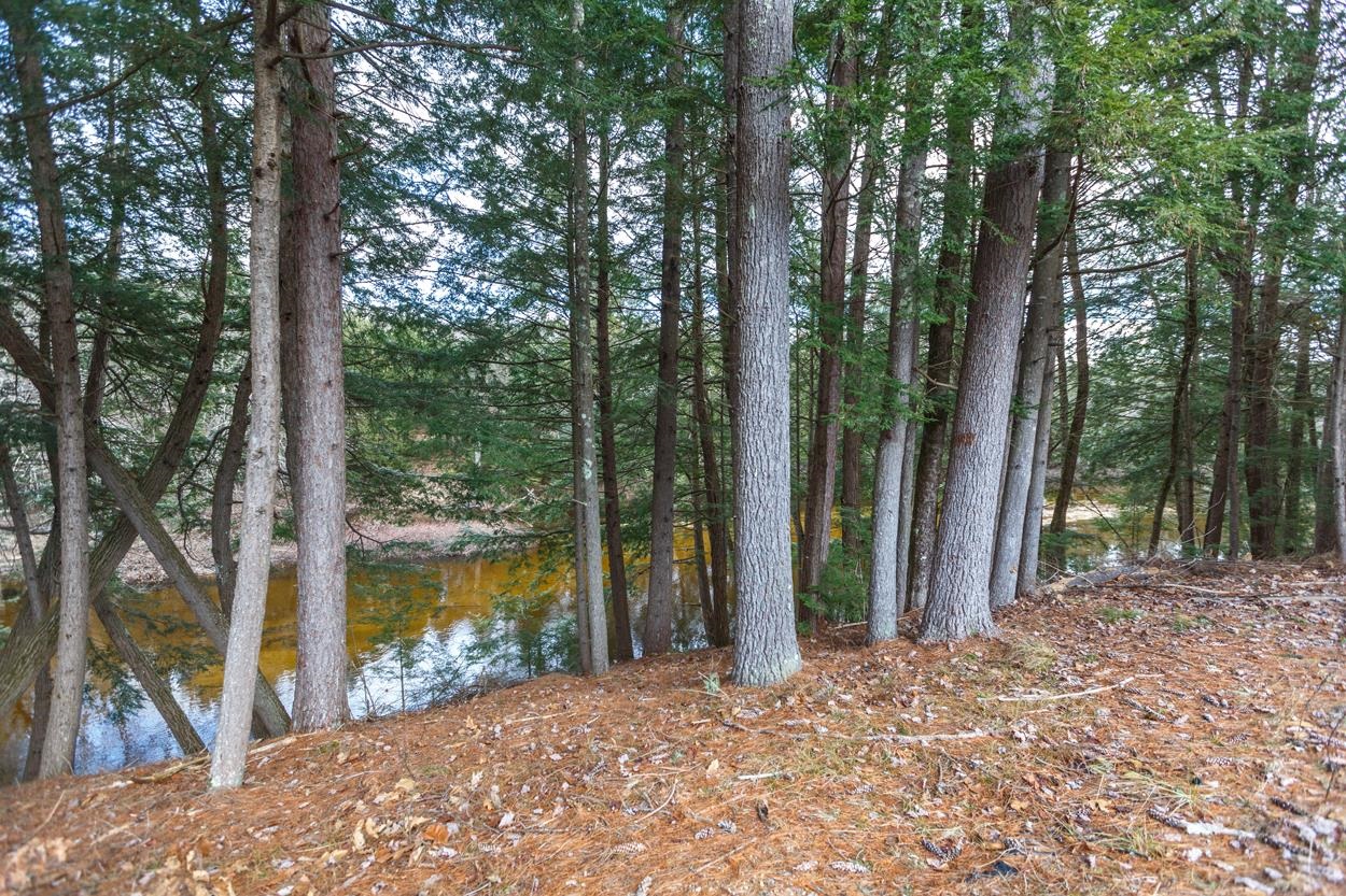 30 Evergreen Lane Hopkinton, NH 03229 - Photo 8 of 21