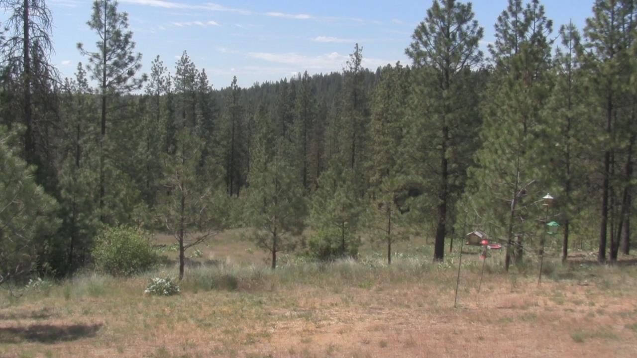 5457 West Tarbert Road Deer Park, WA 99006 - Photo 14 of 15