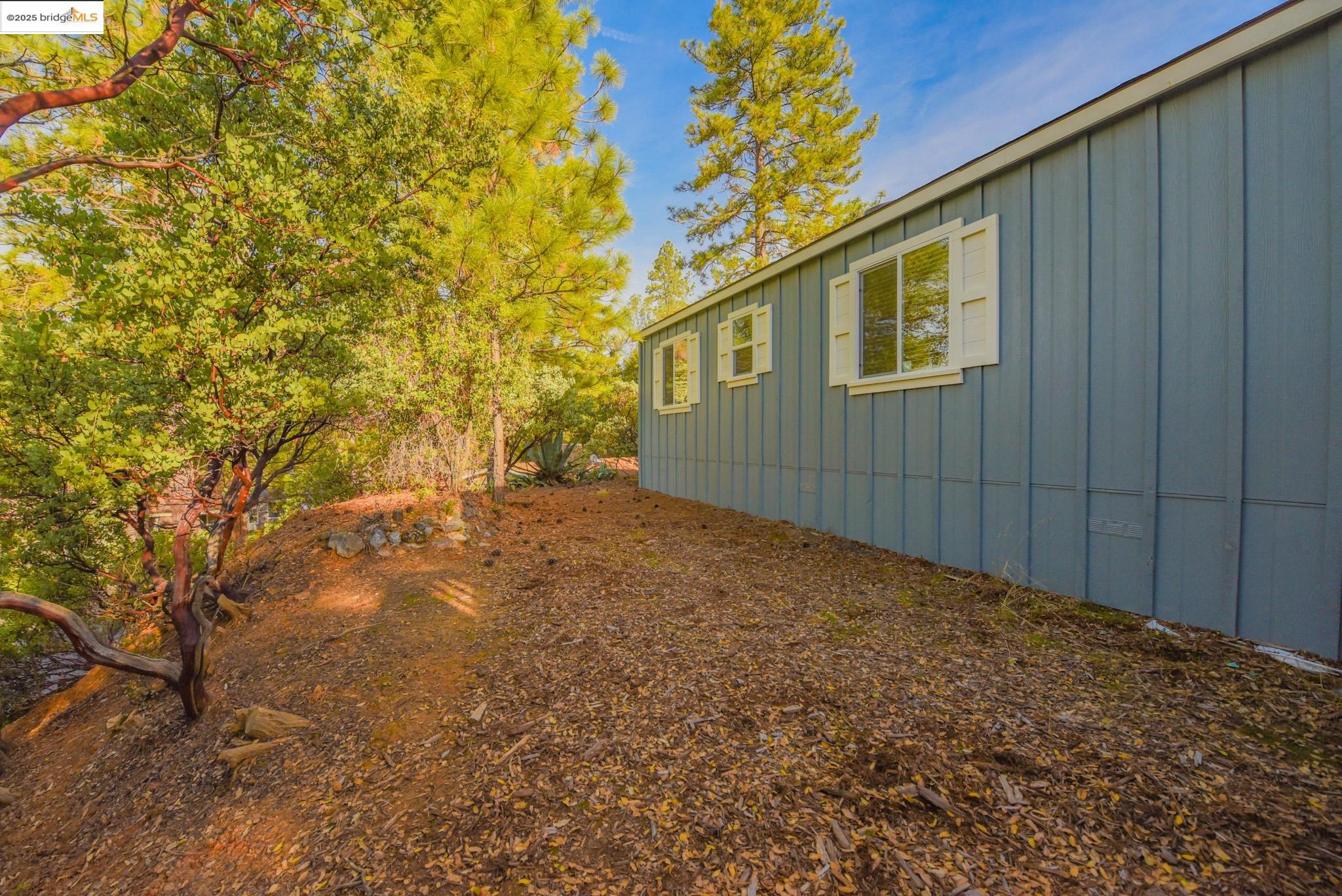 10956 Green Street Columbia, CA 95310 - Photo 33 of 45 View of yard
