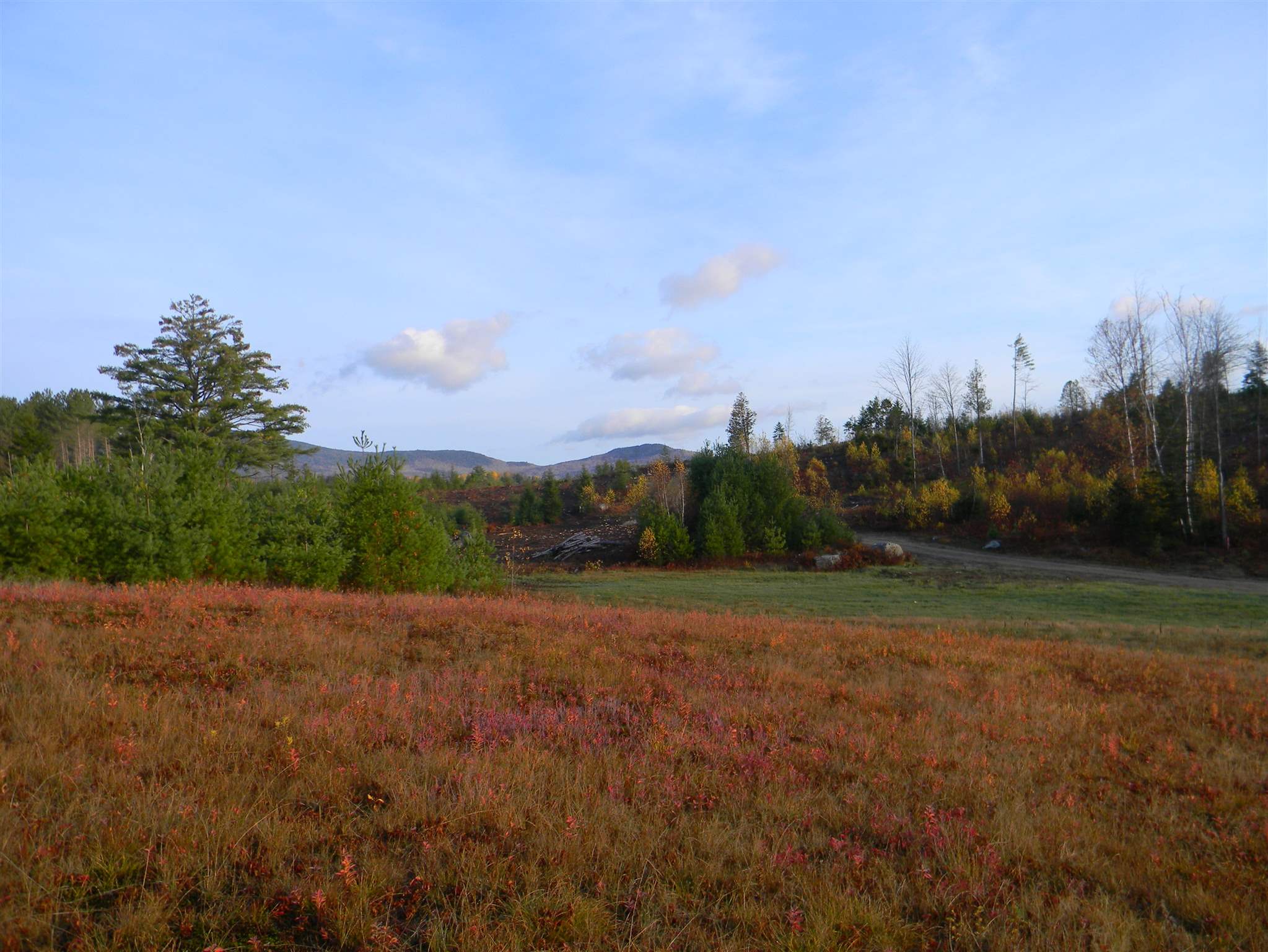 L34 J Woodbury Cole Road Stark, NH 03582 - Photo 2 of 12 Gallery Image 2