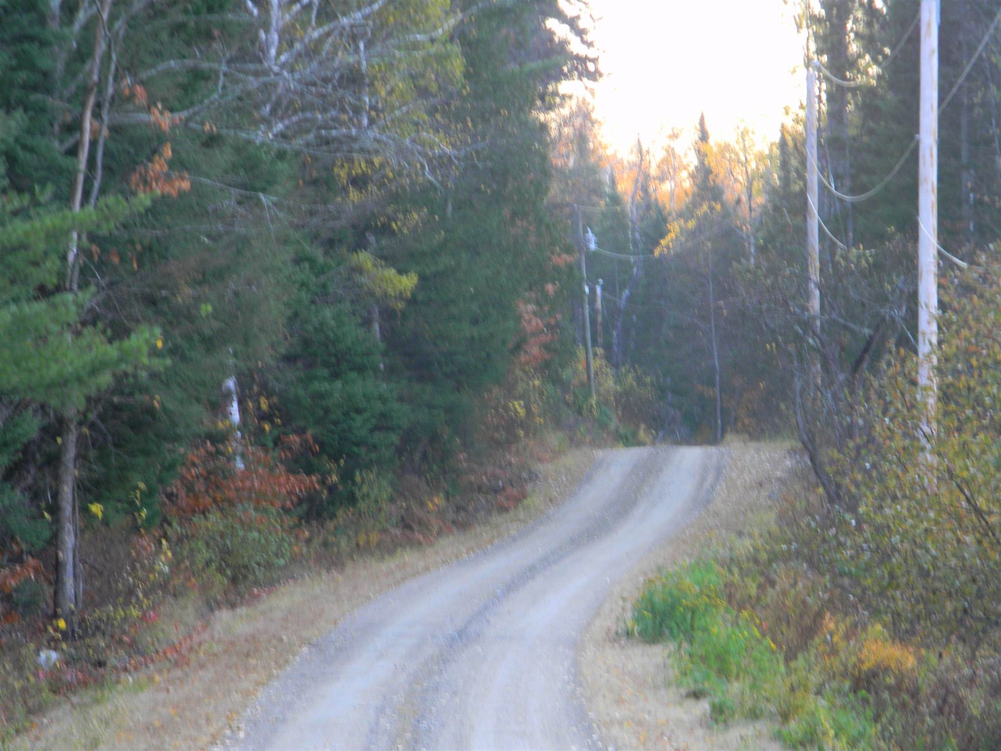 L34 J Woodbury Cole Road Stark, NH 03582 - Photo 11 of 12 Gallery Image 11