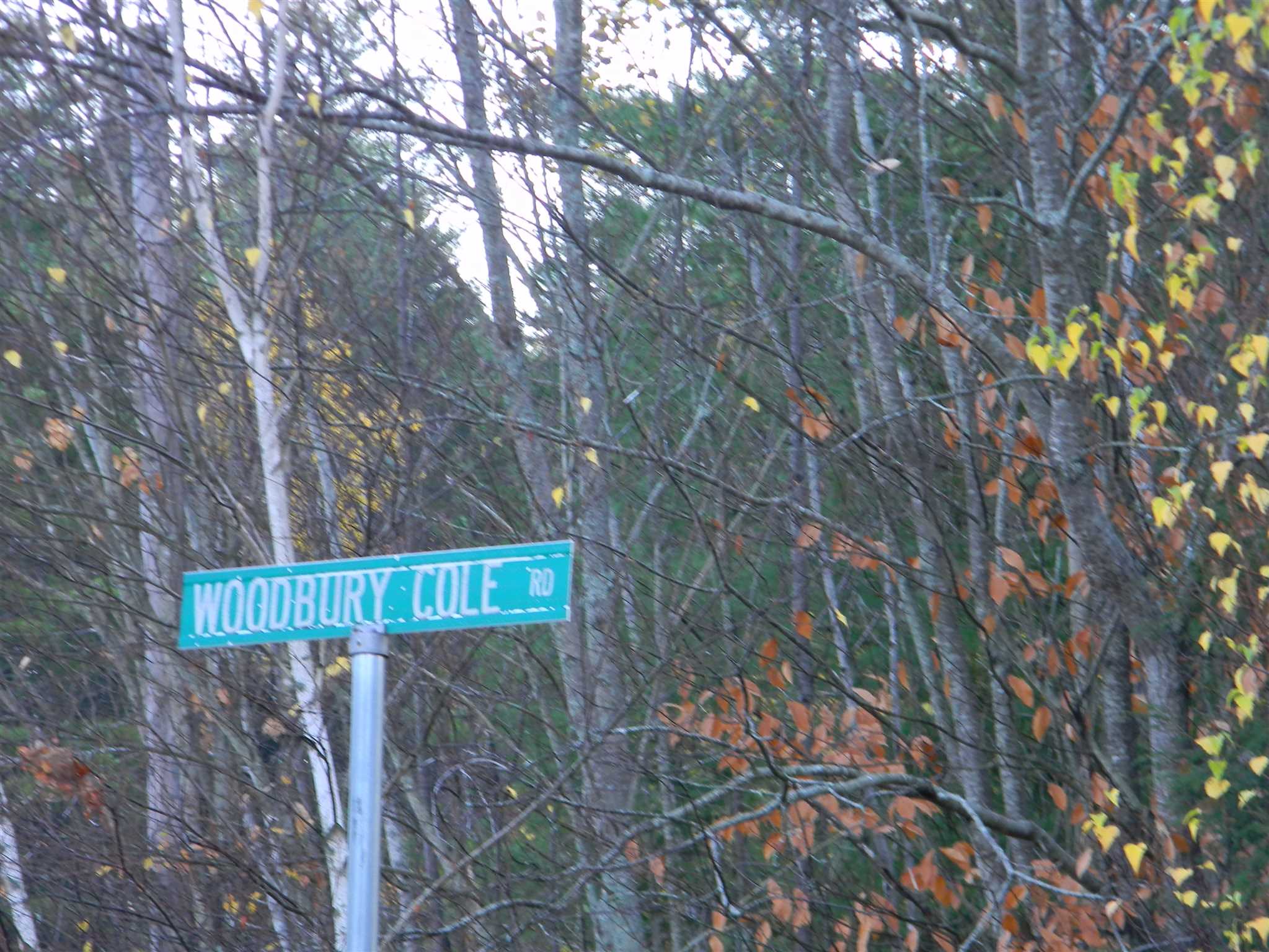 L34 J Woodbury Cole Road Stark, NH 03582 - Photo 10 of 12 Gallery Image 10