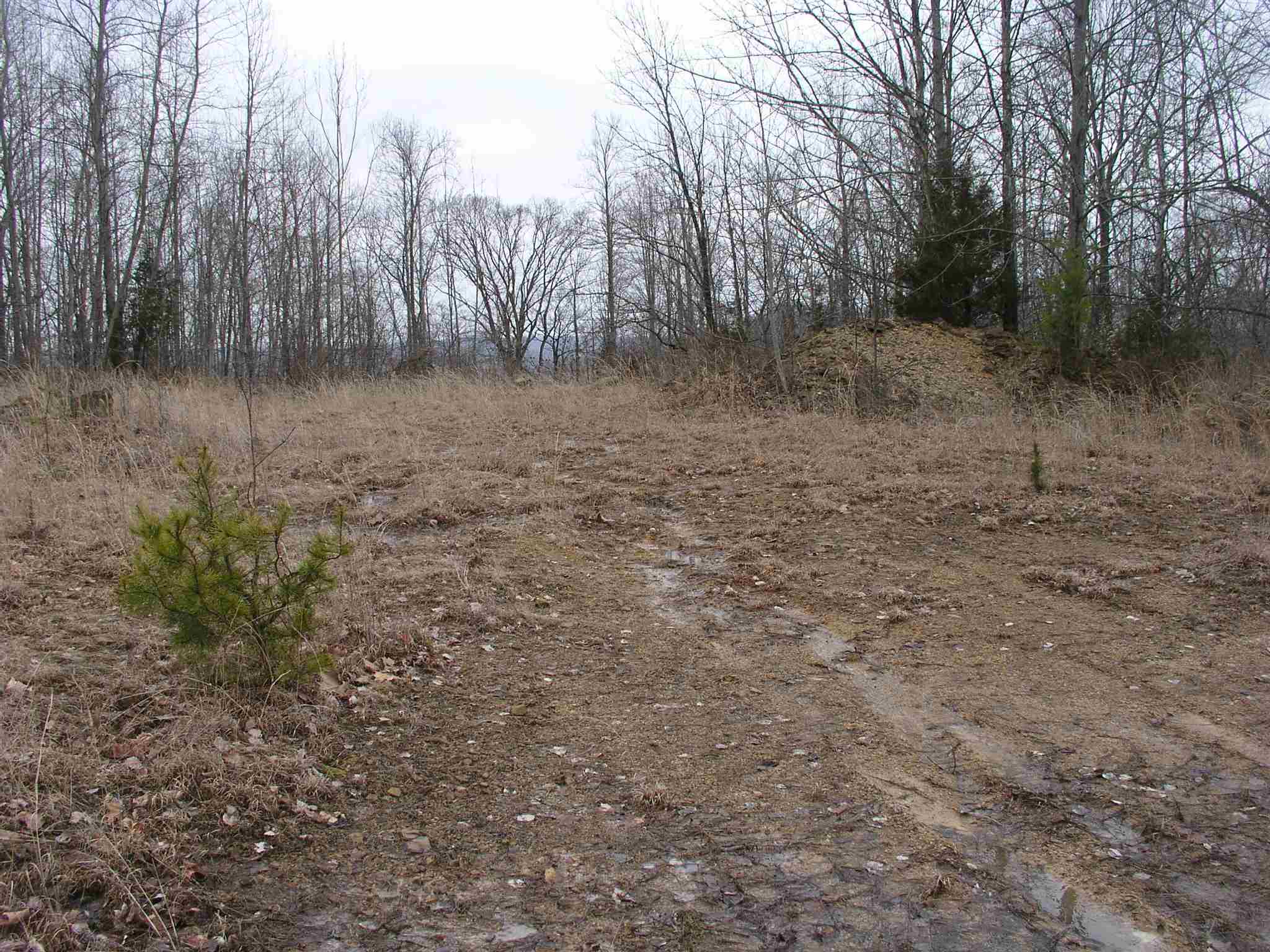 South Sandstone Road Williams, IN 47470 - Photo 1 of 6