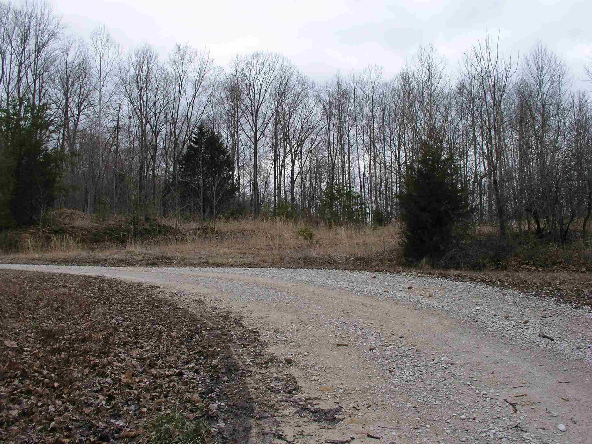 South Sandstone Road Williams, IN 47470 - Photo 2 of 6