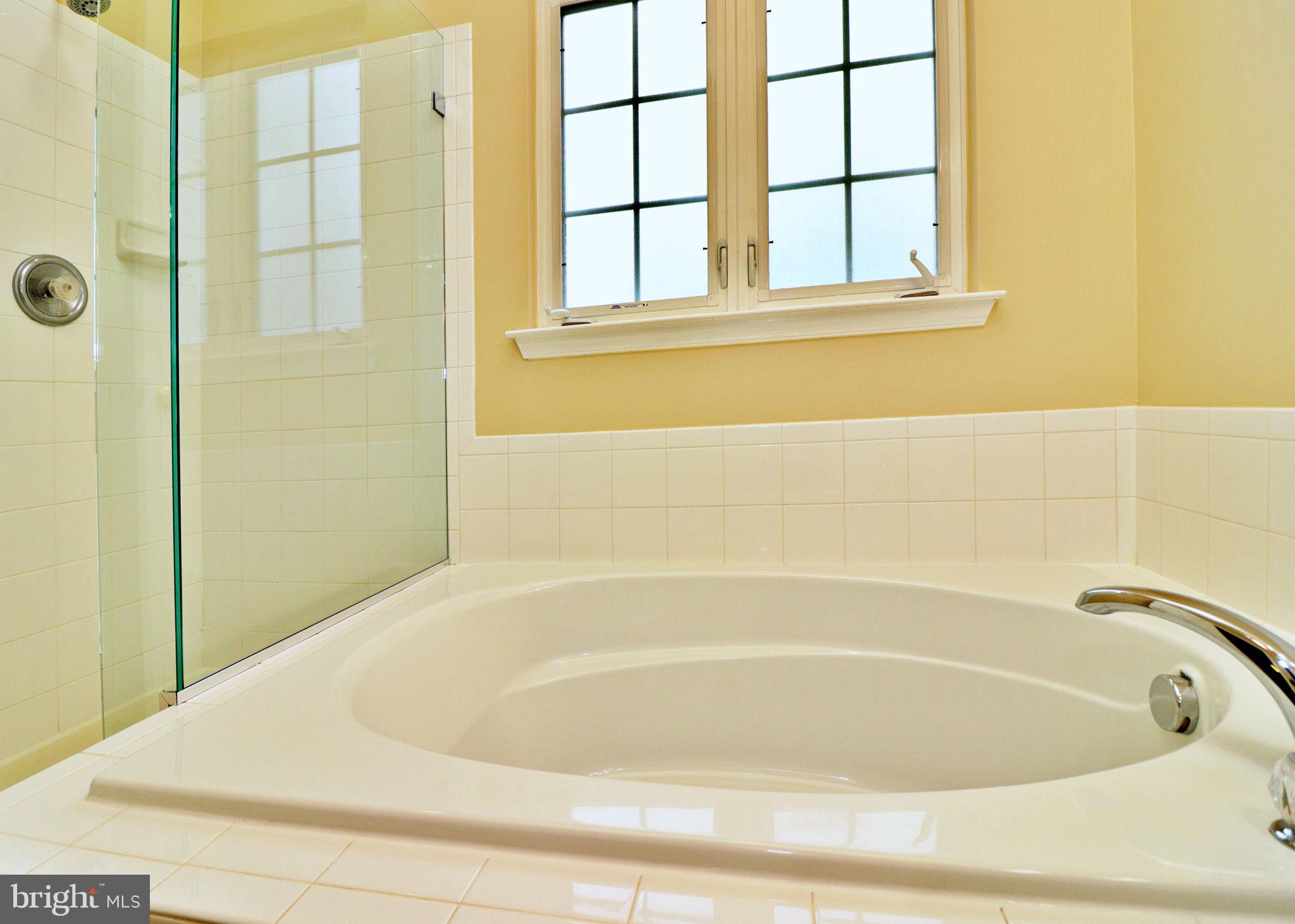 153 Riparian Lane Ranson, WV 25438 - Photo 36 of 62 Primary Bath with Soaking Rub